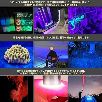 Amazon.co.jp : YZYOE 6つのLED充電可能宝石懐中電灯玉鑑定ランプ、超